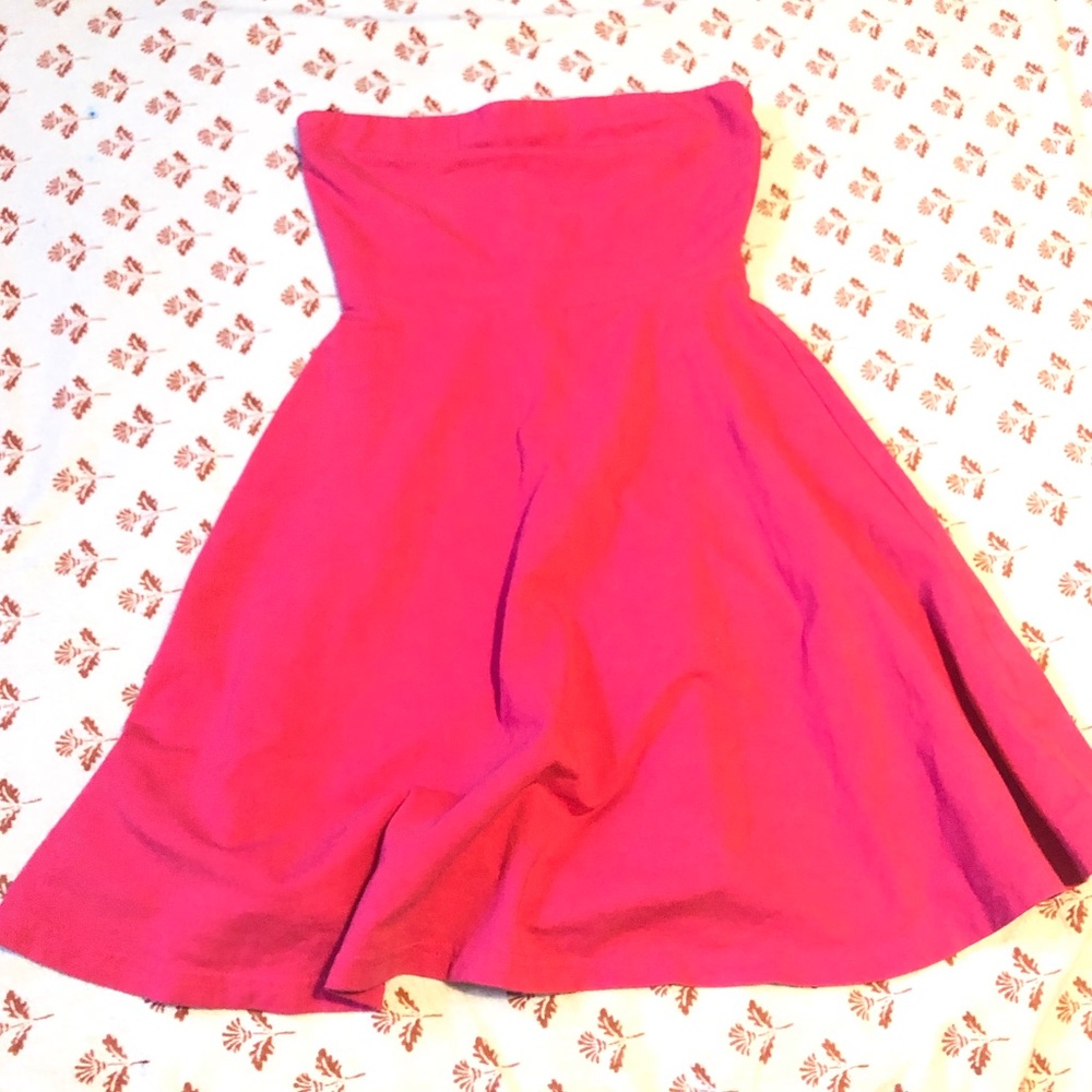 Express Dress - Picture 3 of 3